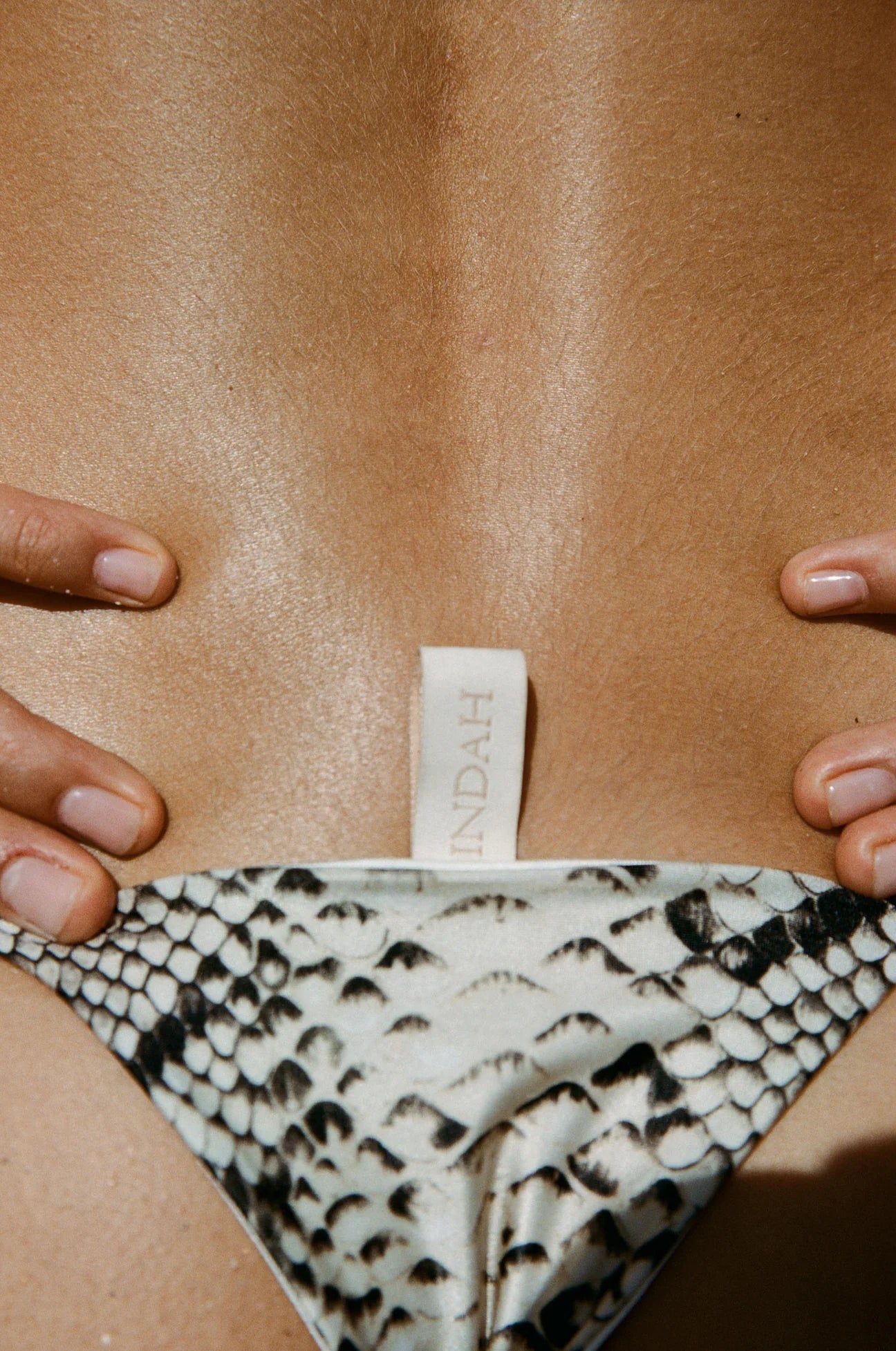 BB Skimpy Bikini Bottom