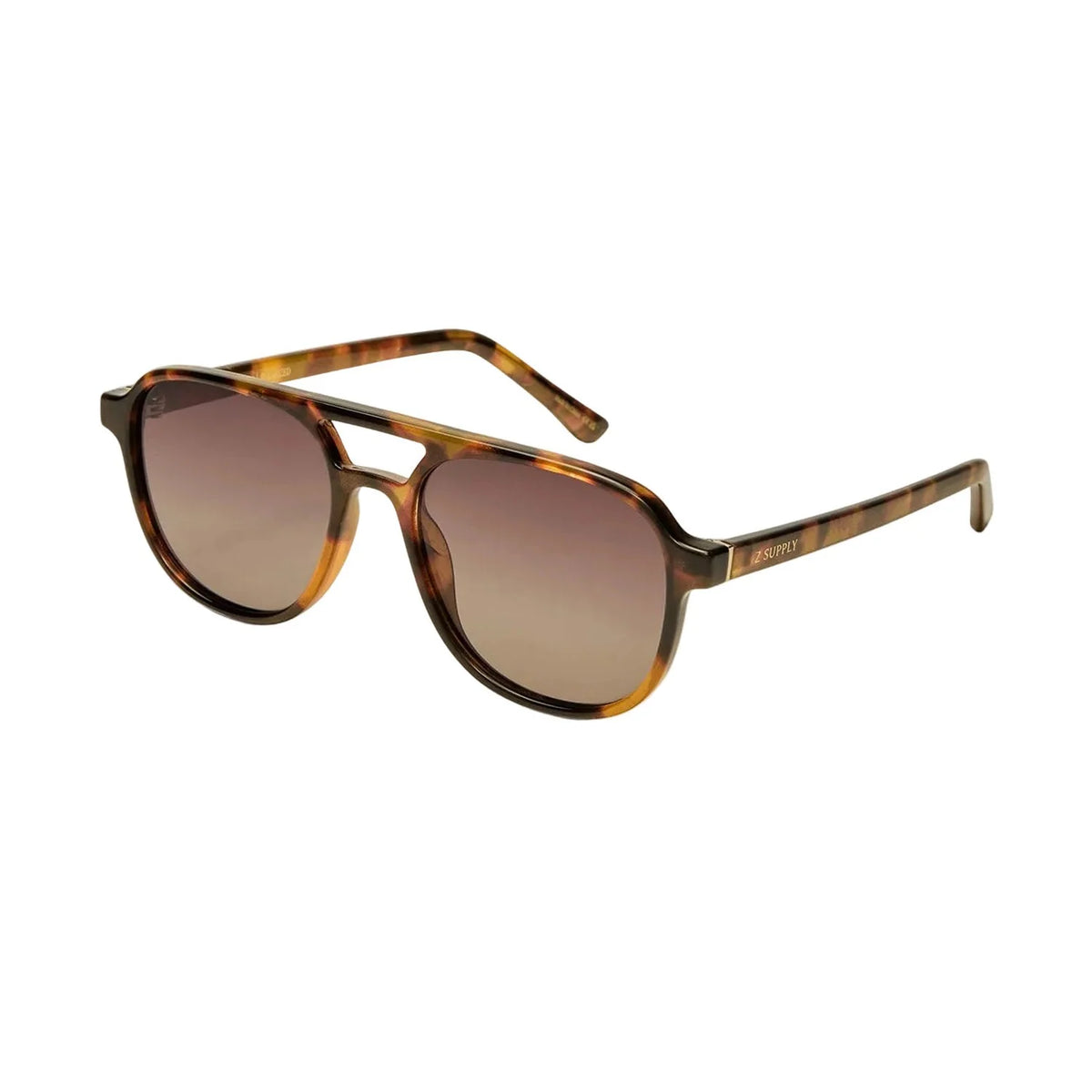 Tourist Brown Tortoise / Gradient